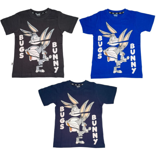 Camiseta Looney Tunes Niño 4/12