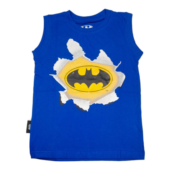 CAMISETA BATMAN NIÑO 4/12 - Imagen 3