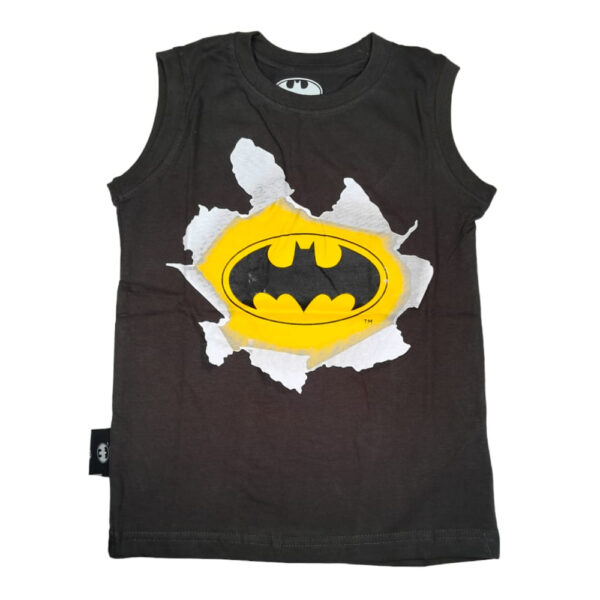 CAMISETA BATMAN NIÑO 4/12 - Imagen 4