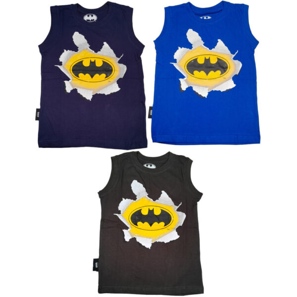 CAMISETA BATMAN NIÑO 4/12