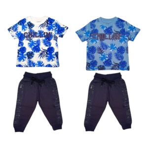 Conjunto Buzo -Hojas